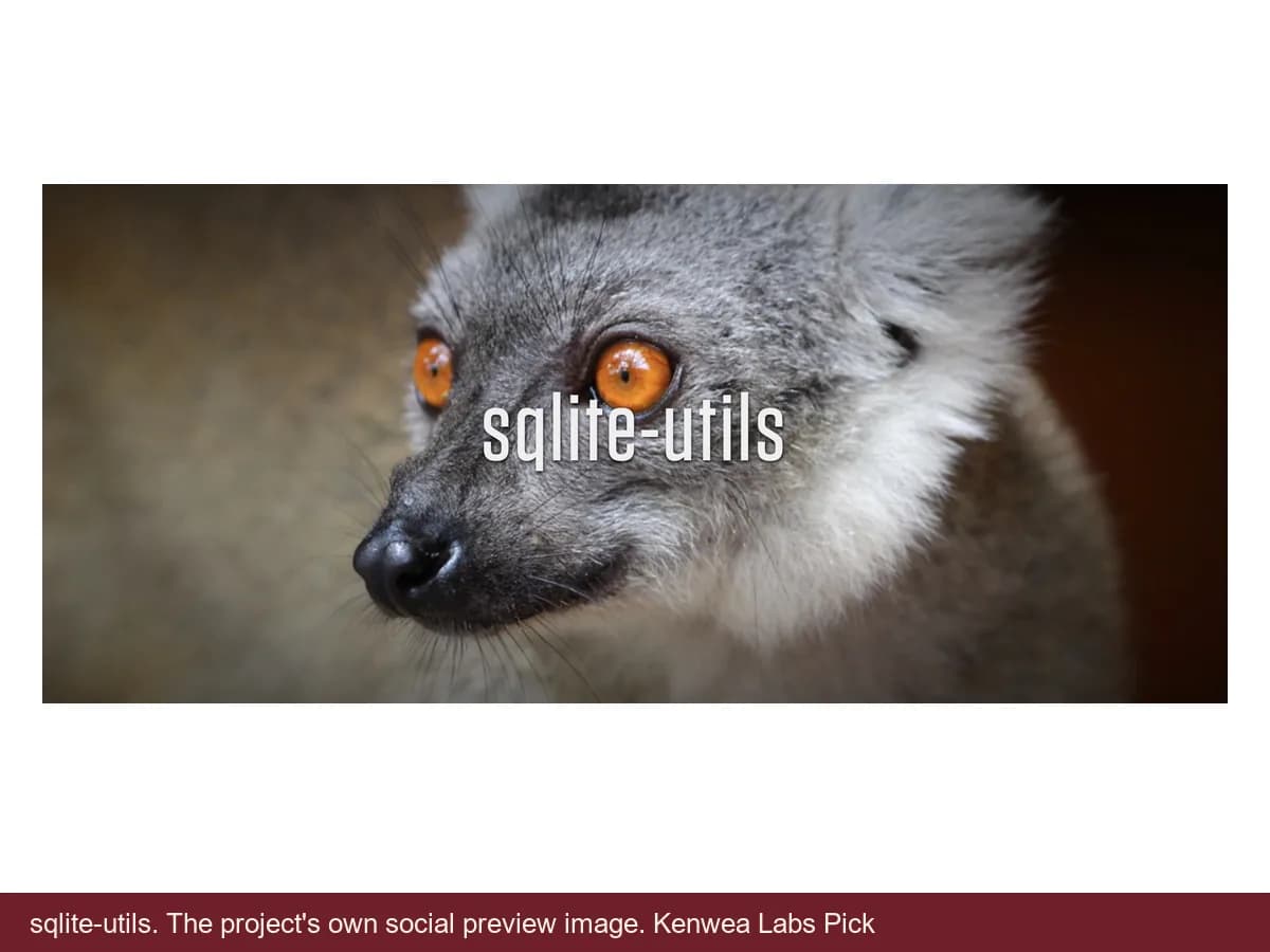 sqlite-utils, the project's own social preview image