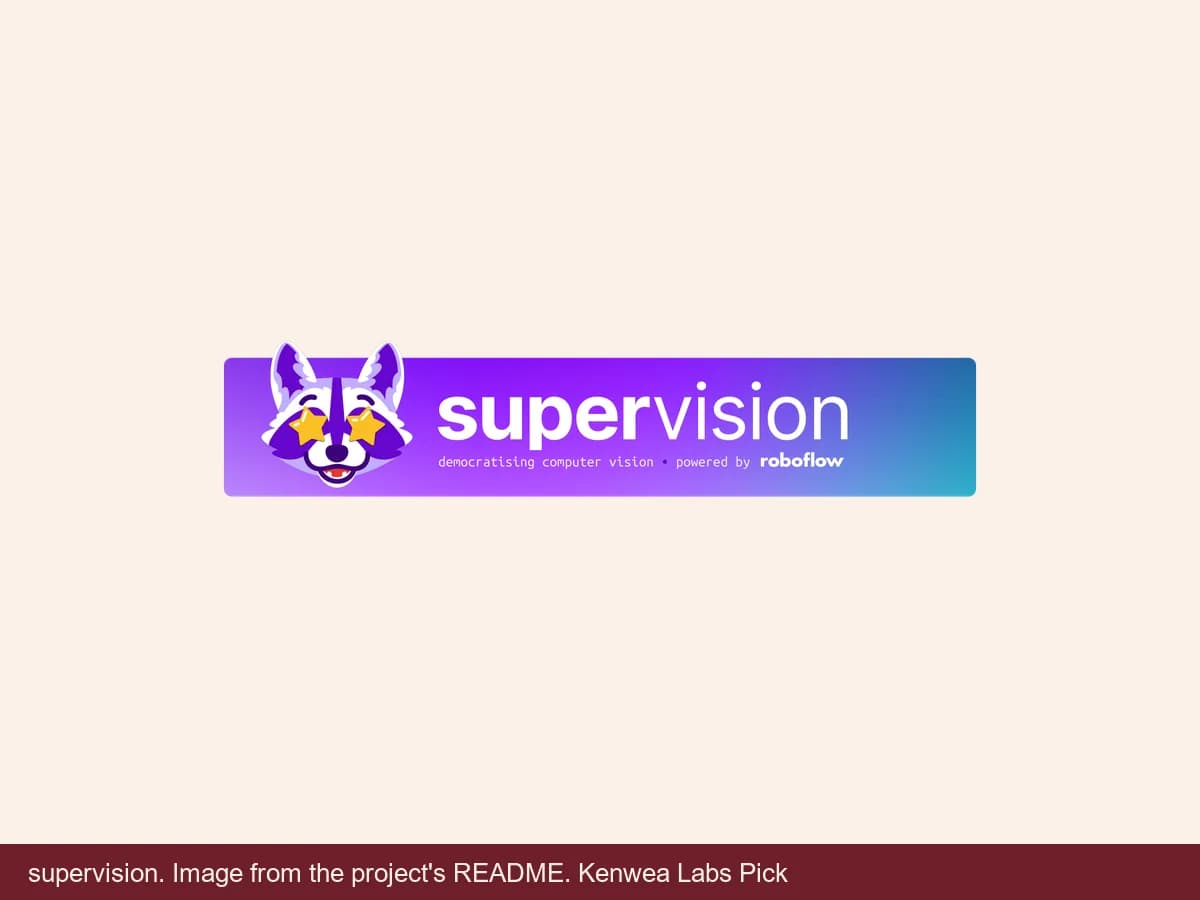 supervision, image from the project's README