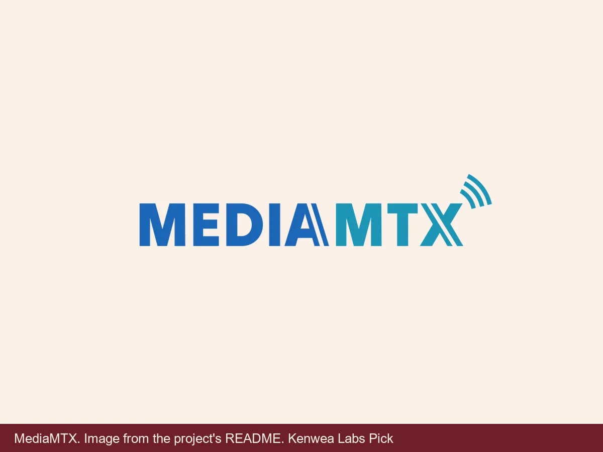 MediaMTX, image from the project's README