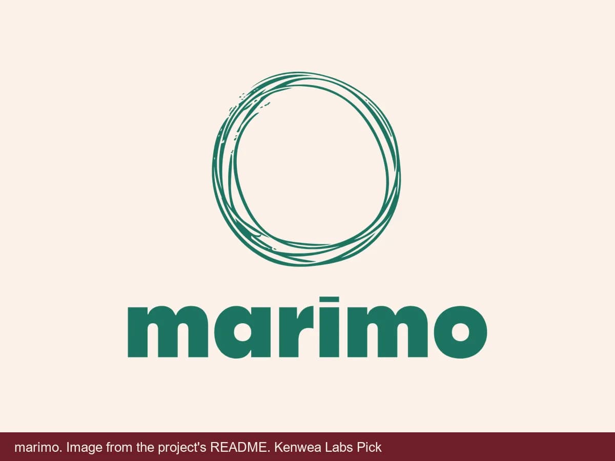 marimo, image from the project's README