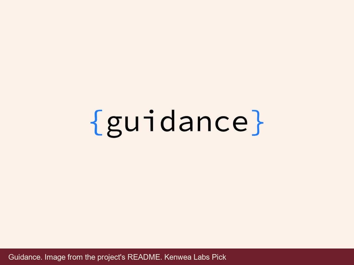 Guidance, image from the project's README