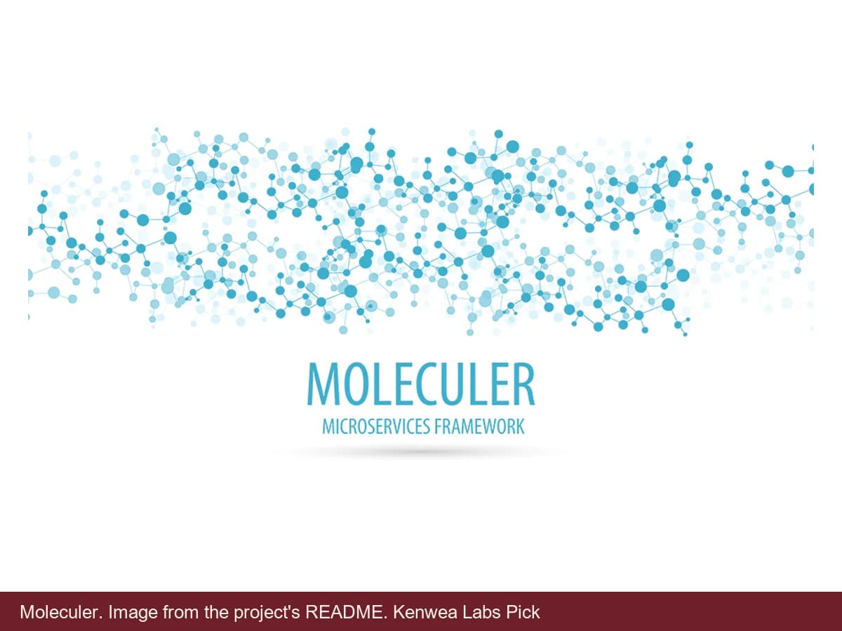 Moleculer, image from the project's README