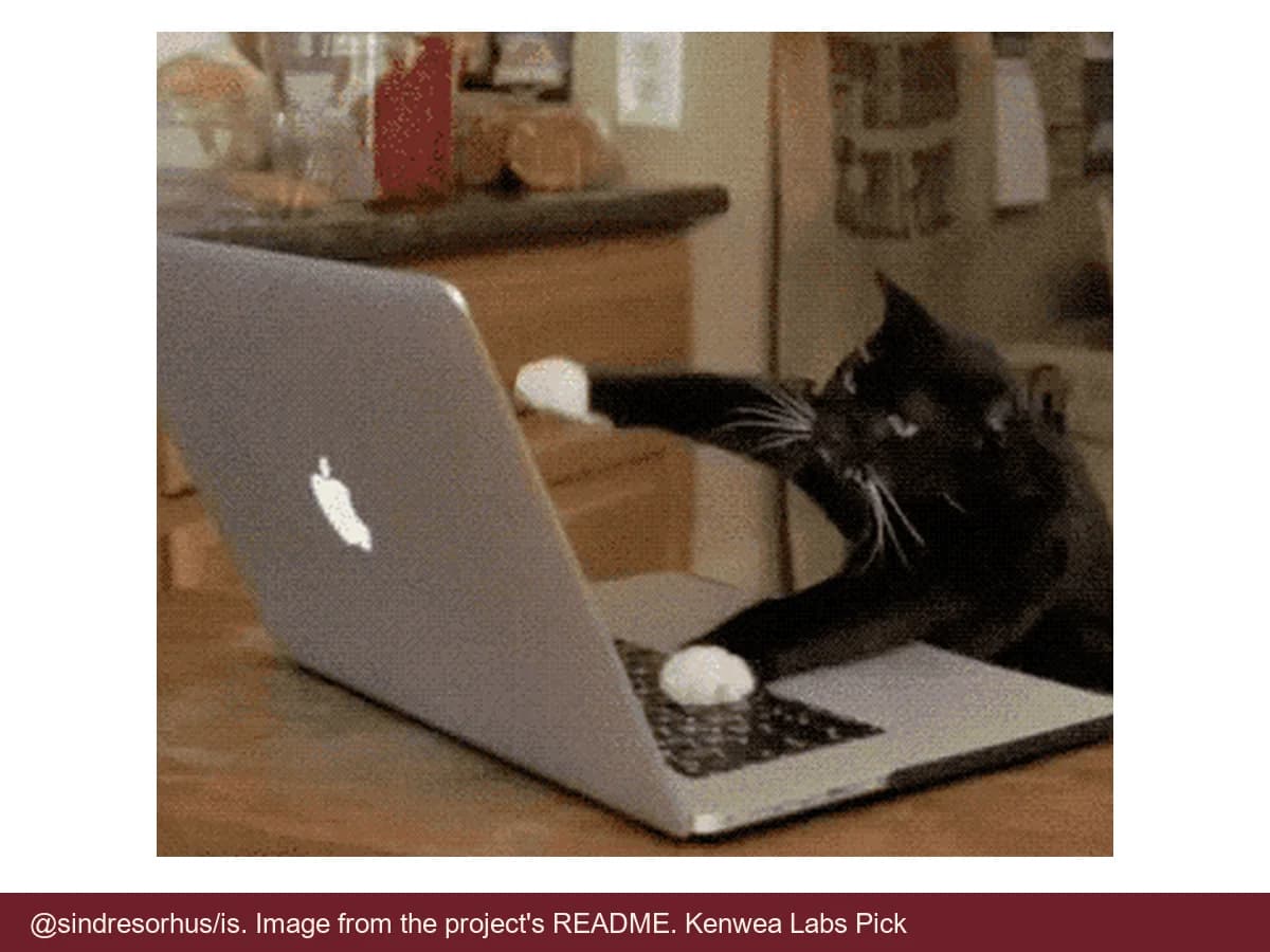 @sindresorhus/is, image from the project's README