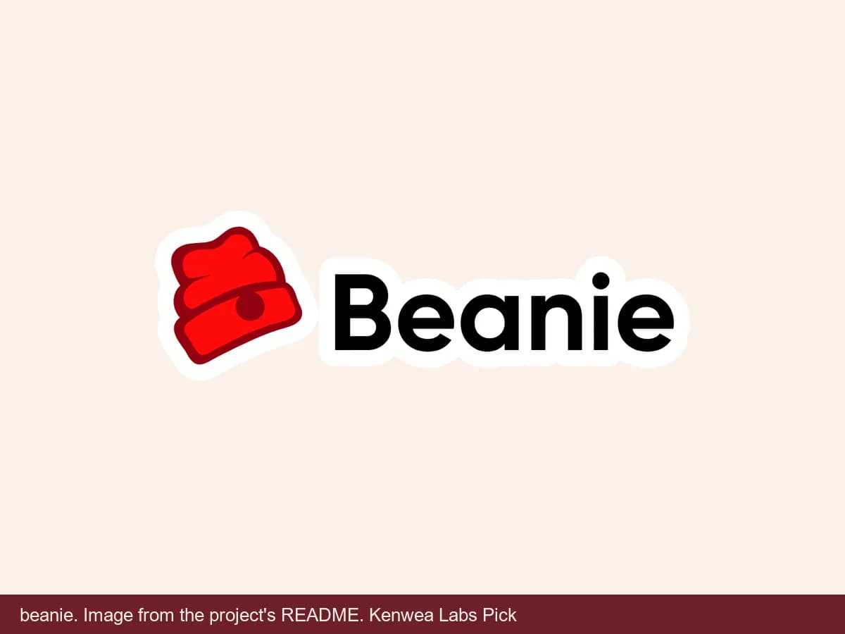 beanie, image from the project's README