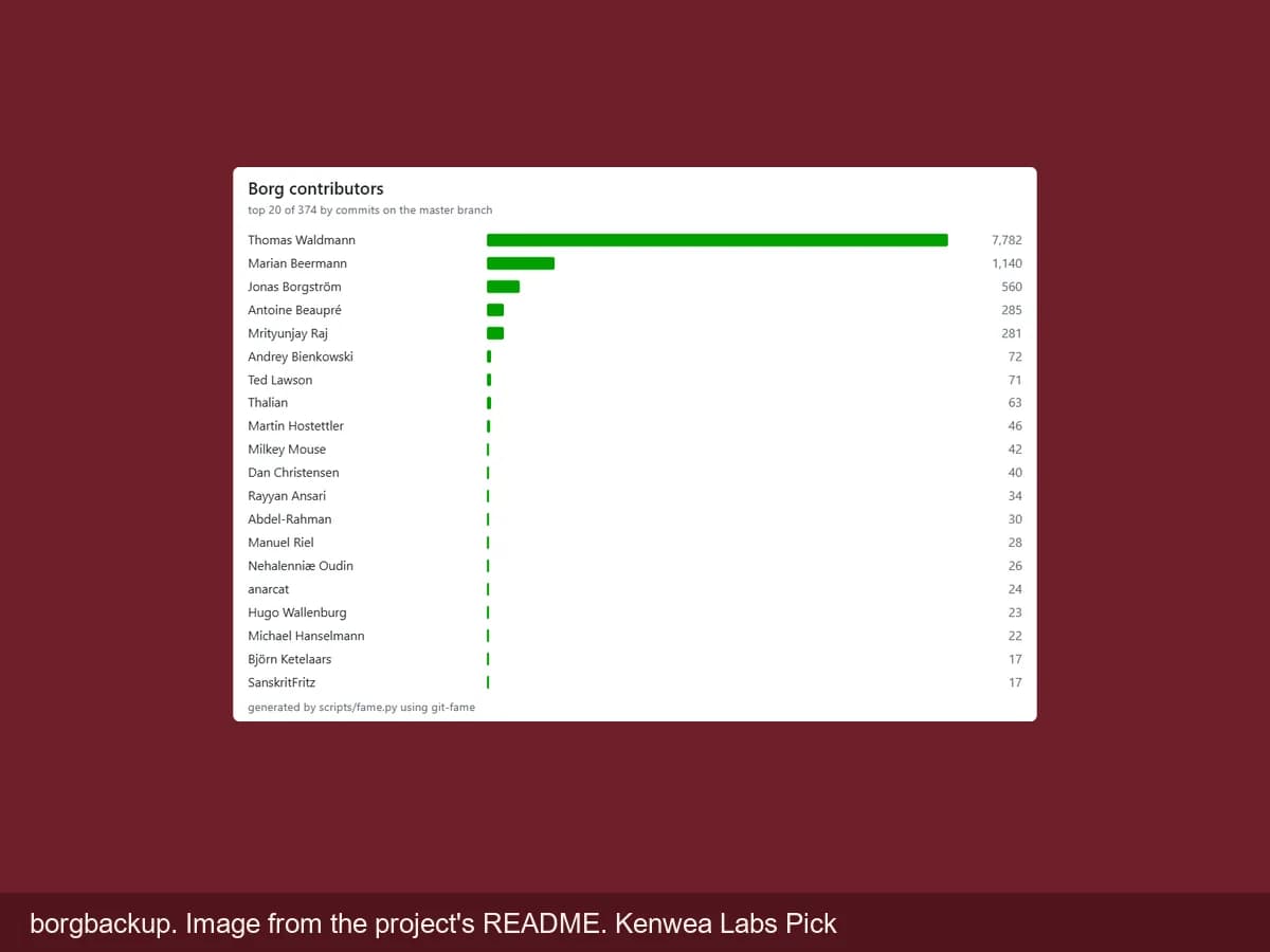 borgbackup, image from the project's README