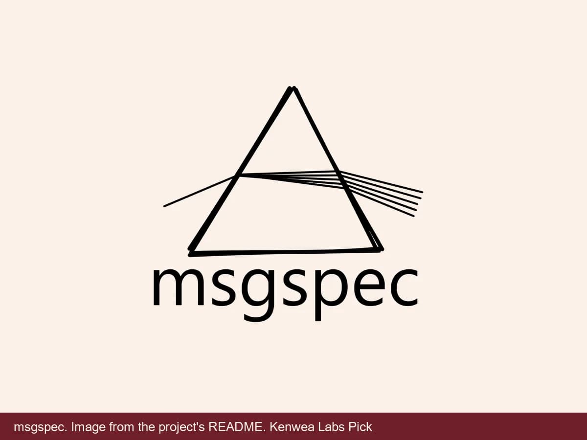msgspec, image from the project's README