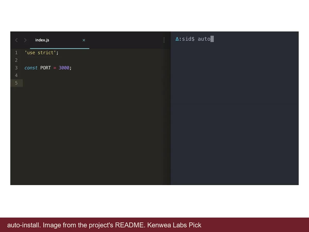 auto-install, image from the project's README