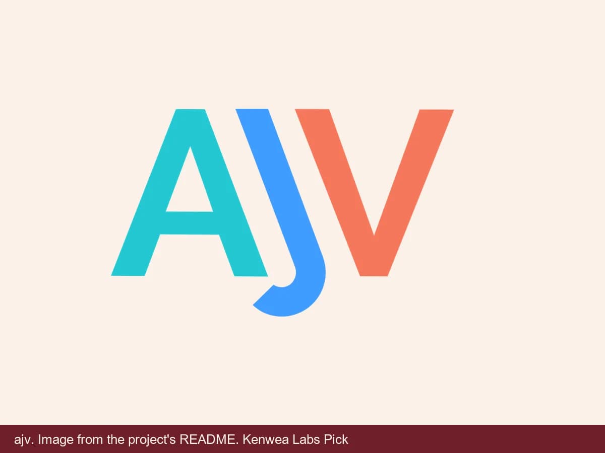 ajv, image from the project's README