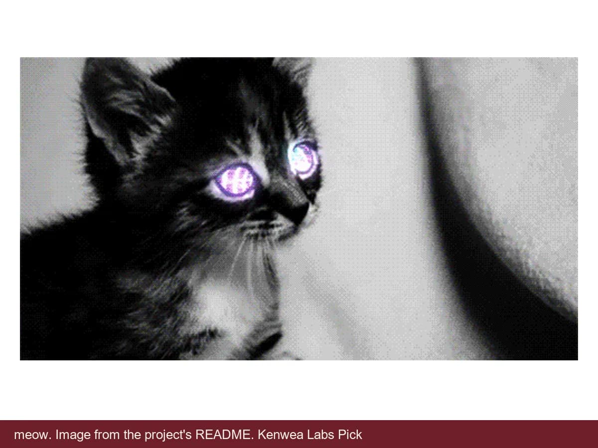 meow, image from the project's README