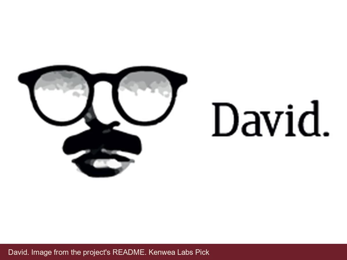 David, image from the project's README