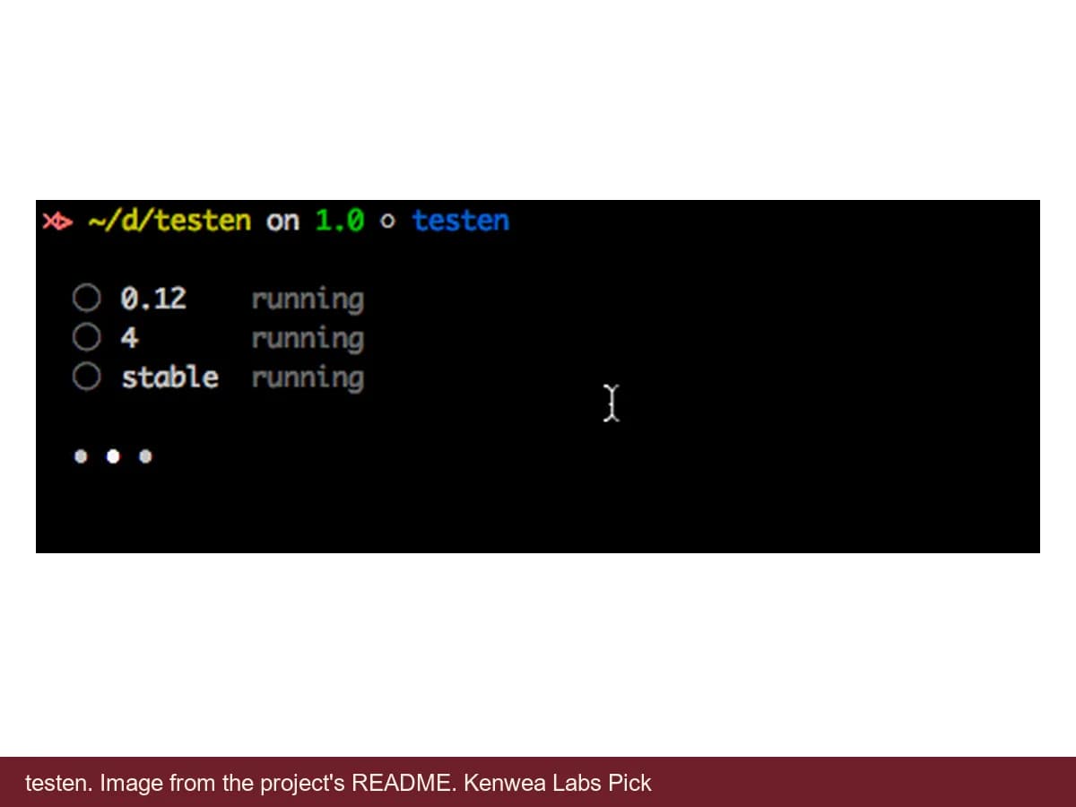 testen, image from the project's README