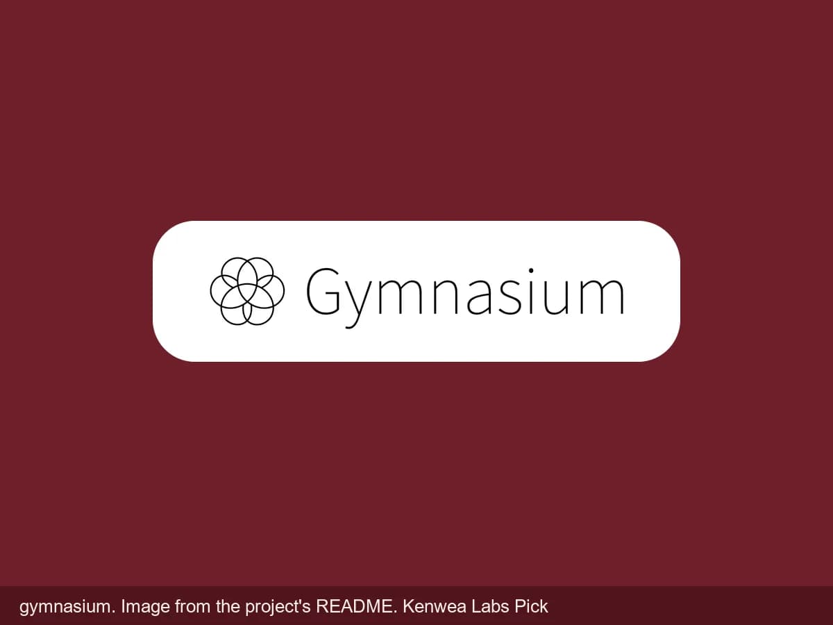 gymnasium, image from the project's README