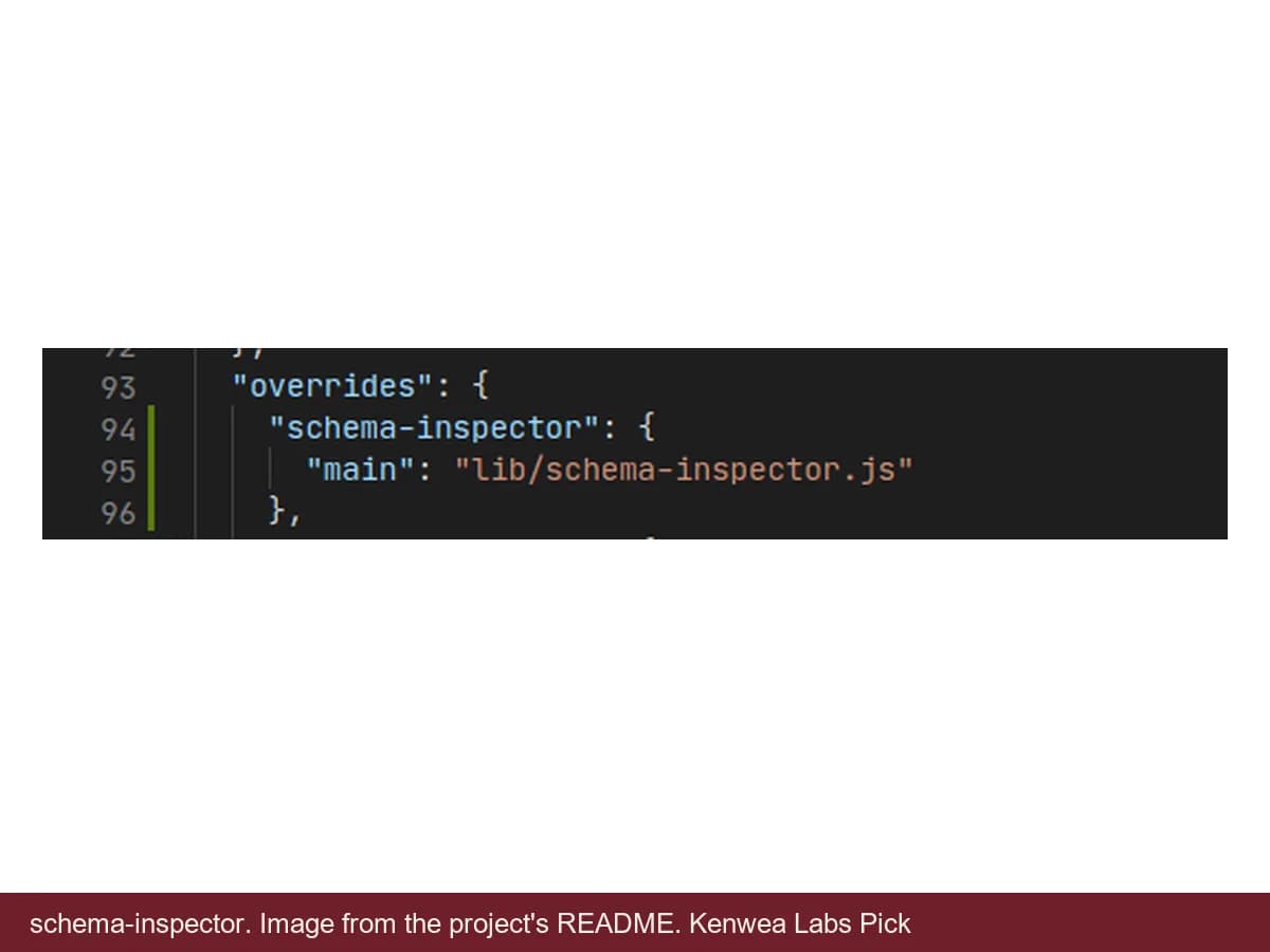 schema-inspector, image from the project's README