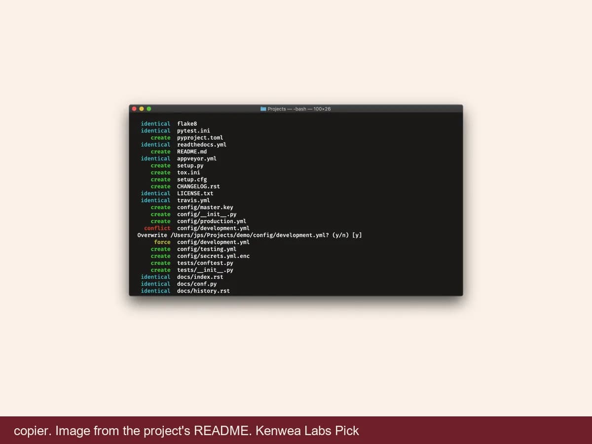 copier, image from the project's README