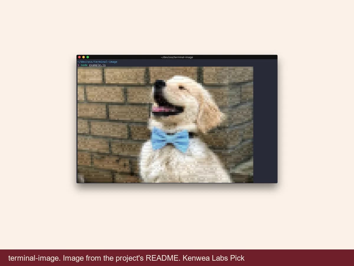 terminal-image, image from the project's README